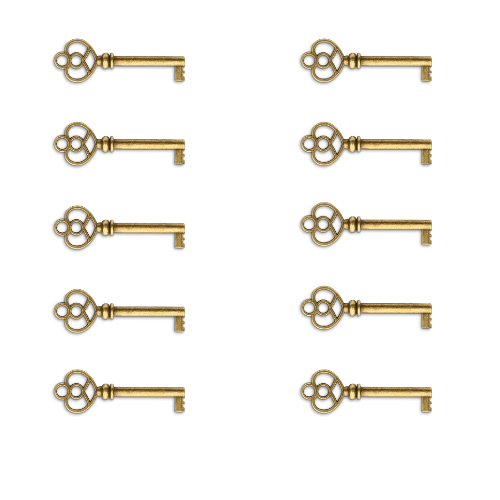 One year membership monthly payment