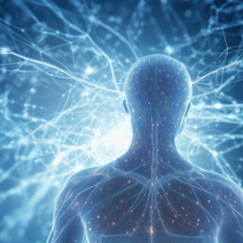 Energy work -  Blockages & Diseases Bio Decoding