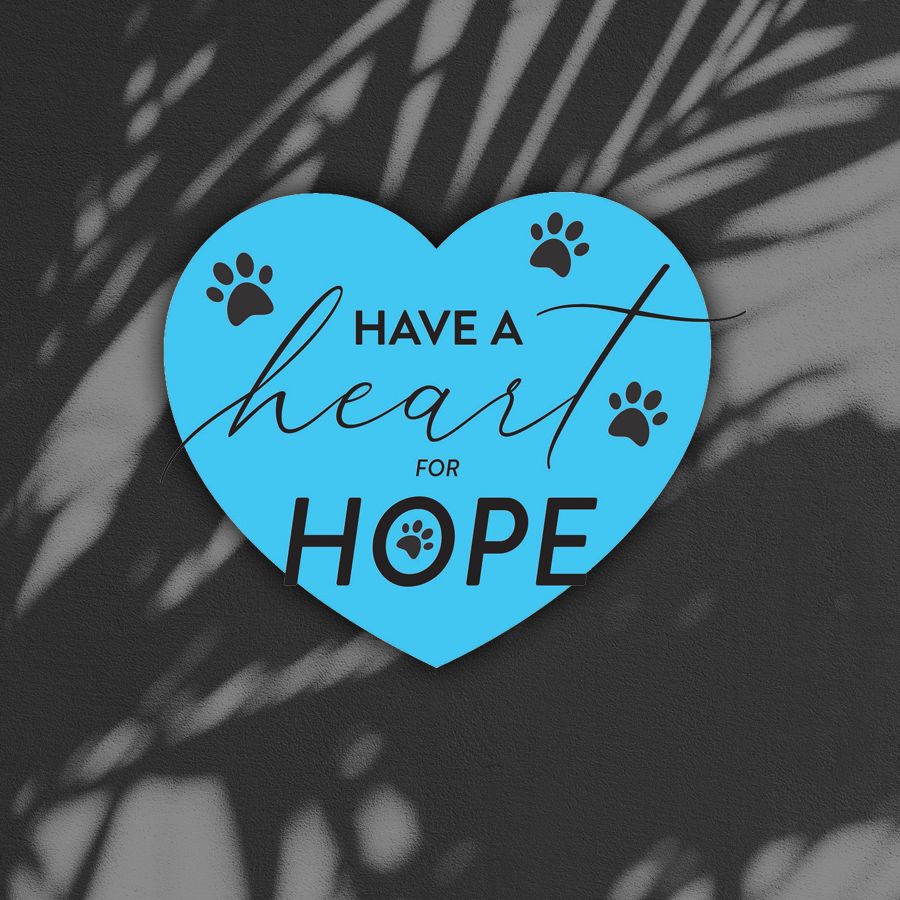 Have a Heart for HOPE Ticket - Single