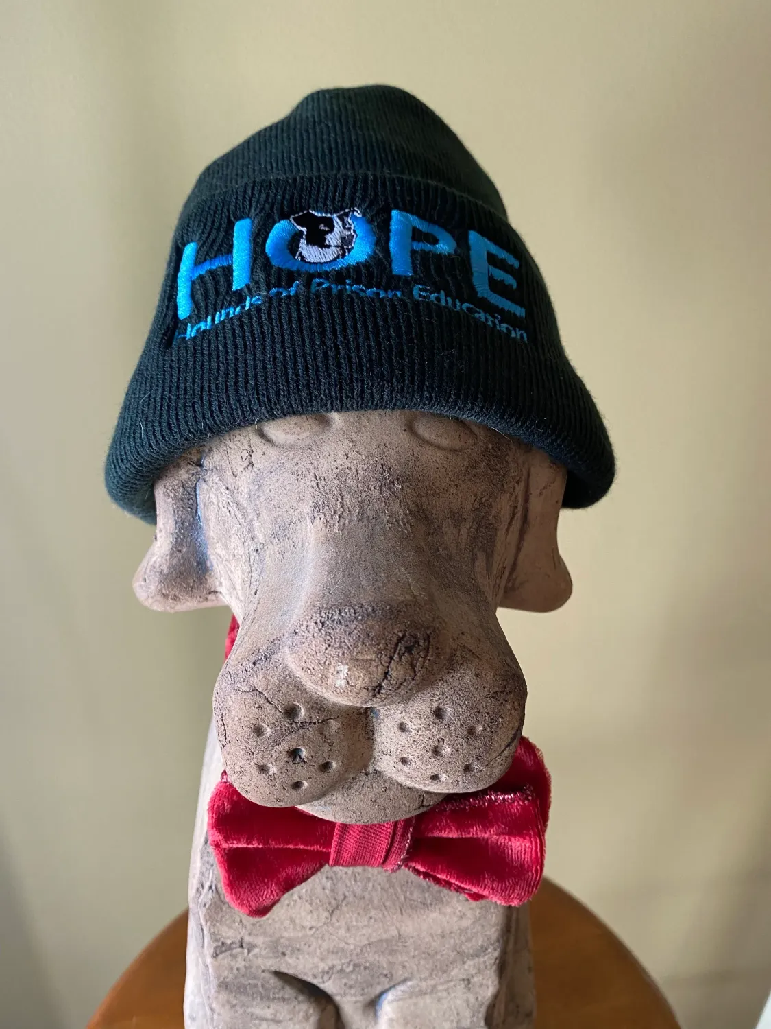 HOPE Beanie