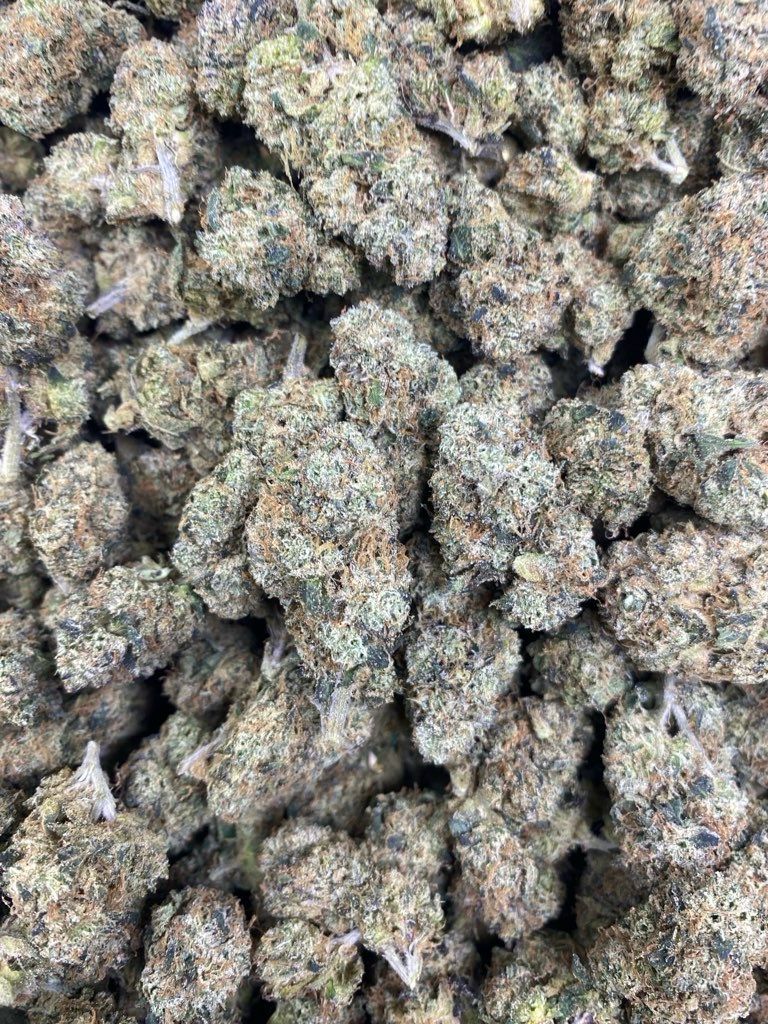 Lemon Cherry Gelato Indoor Smalls