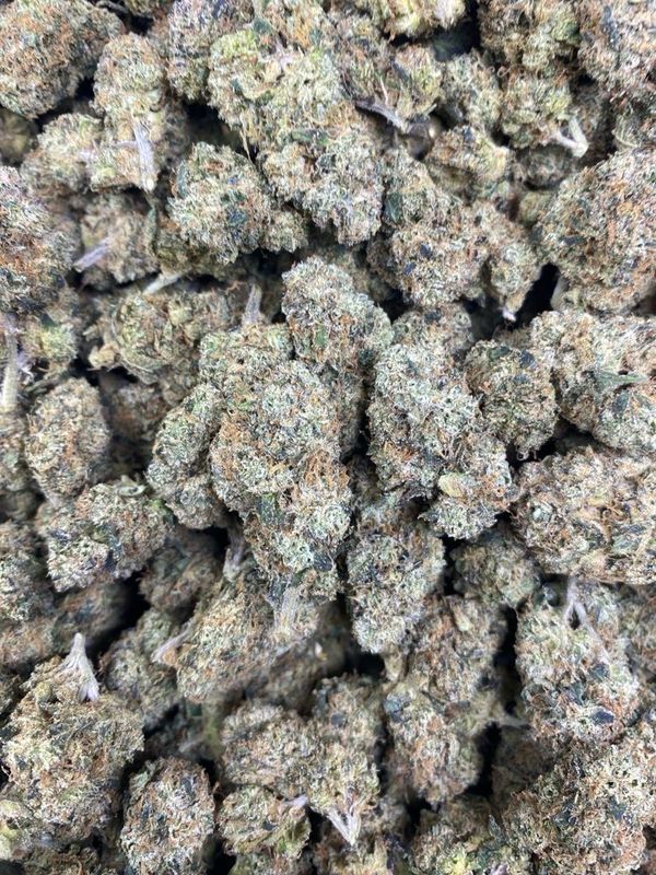 Lemon Cherry Gelato Indoor Smalls