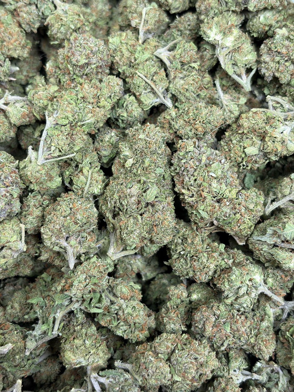 Amnesia Haze