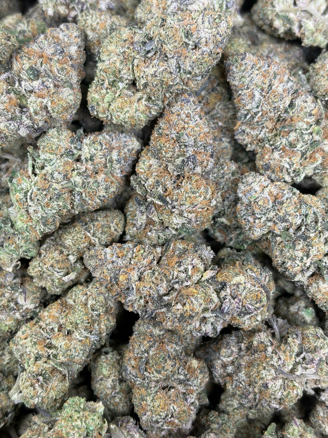 Blue Cookies