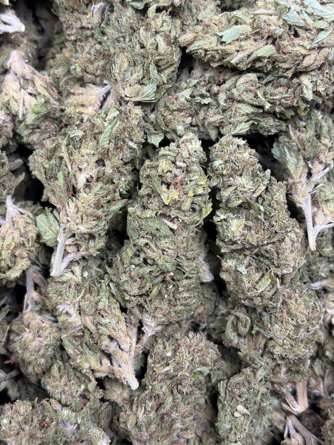 Blue Dream