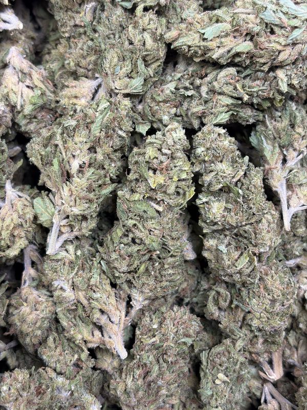 Blue Dream