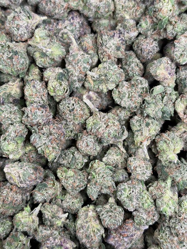 Zerbert Indoor Smalls