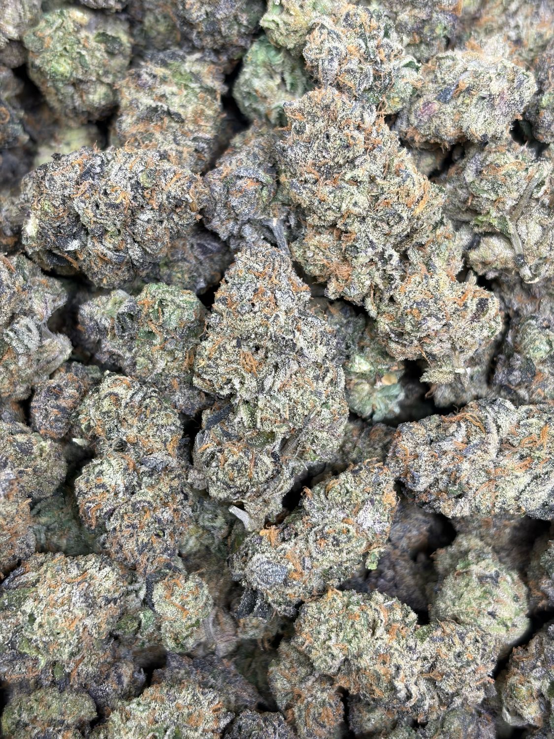 Animal Cookies
