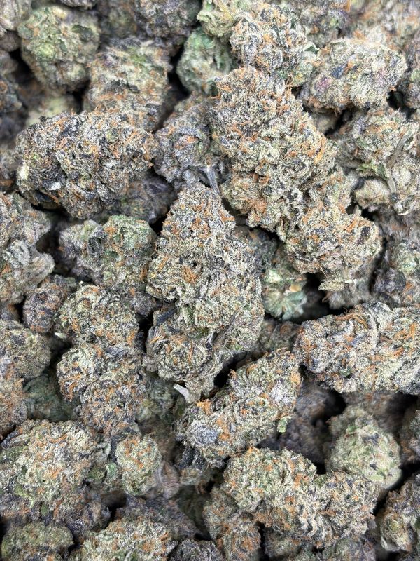 Animal Cookies