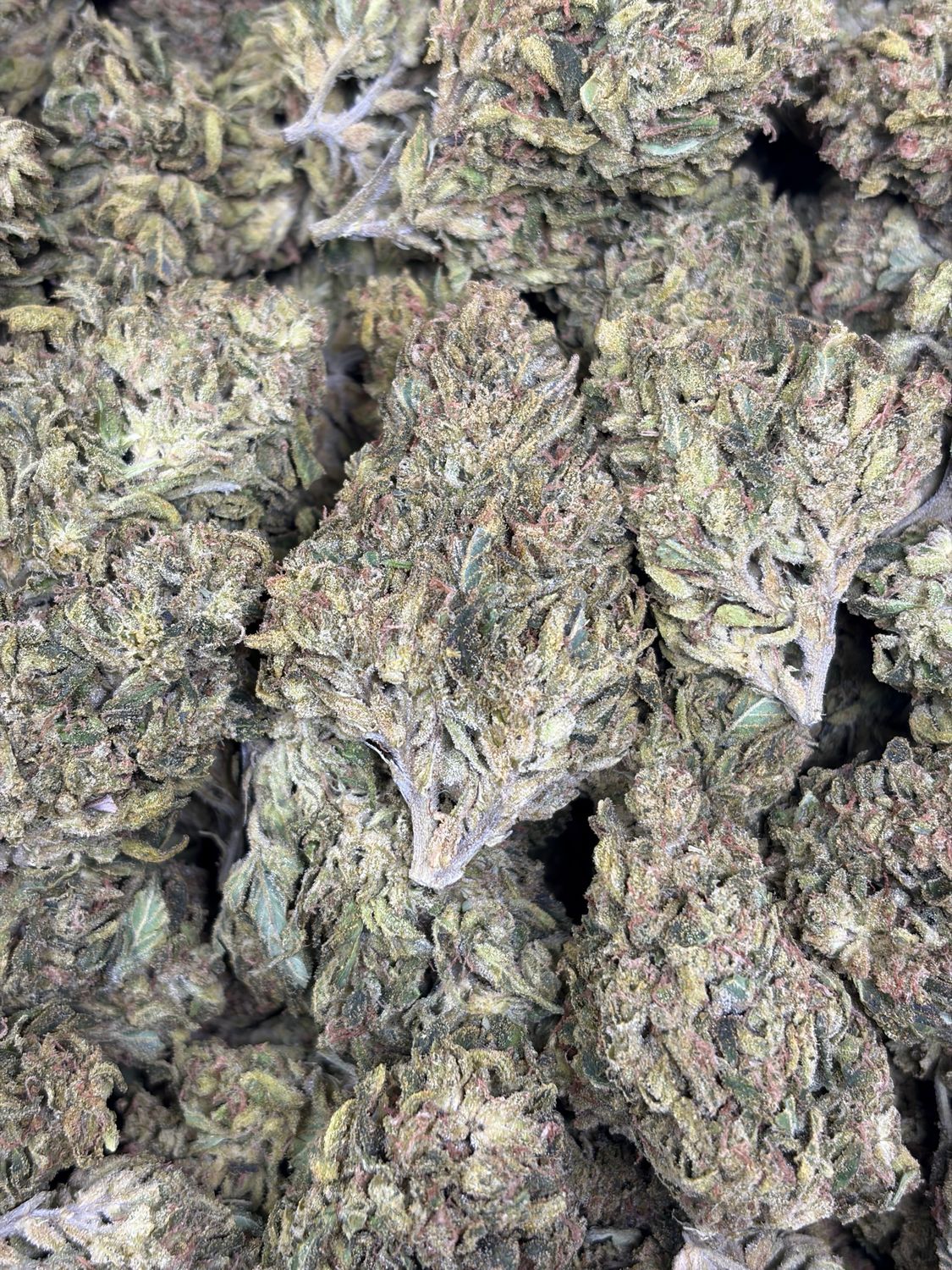 Grape Kush