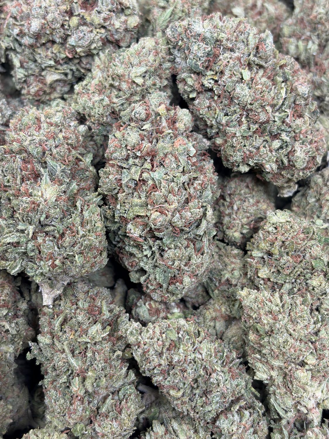 Sour Cindy