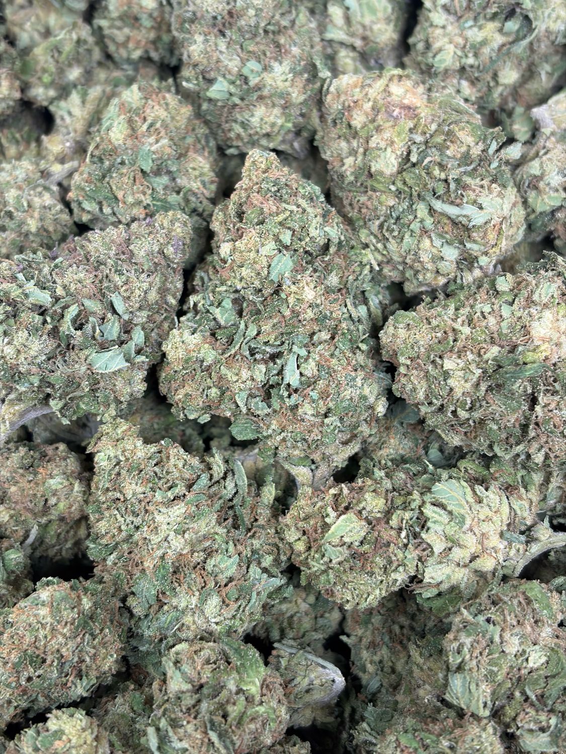 Papaya Bomb