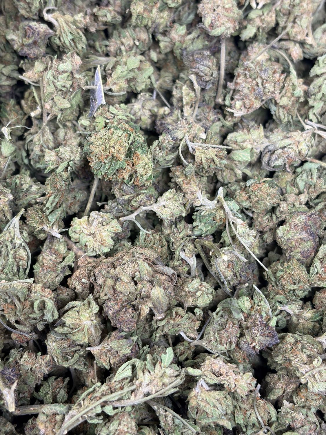 Kush Smalls