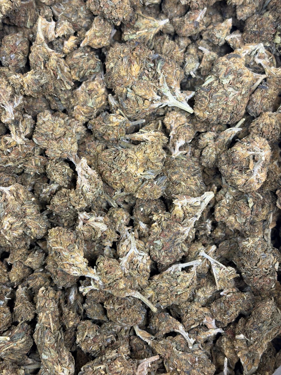Campfire Og