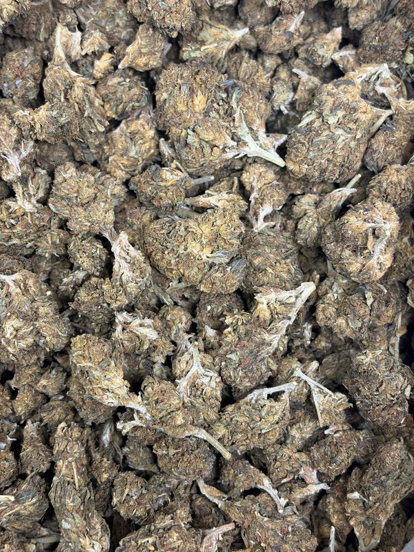 Campfire Og
