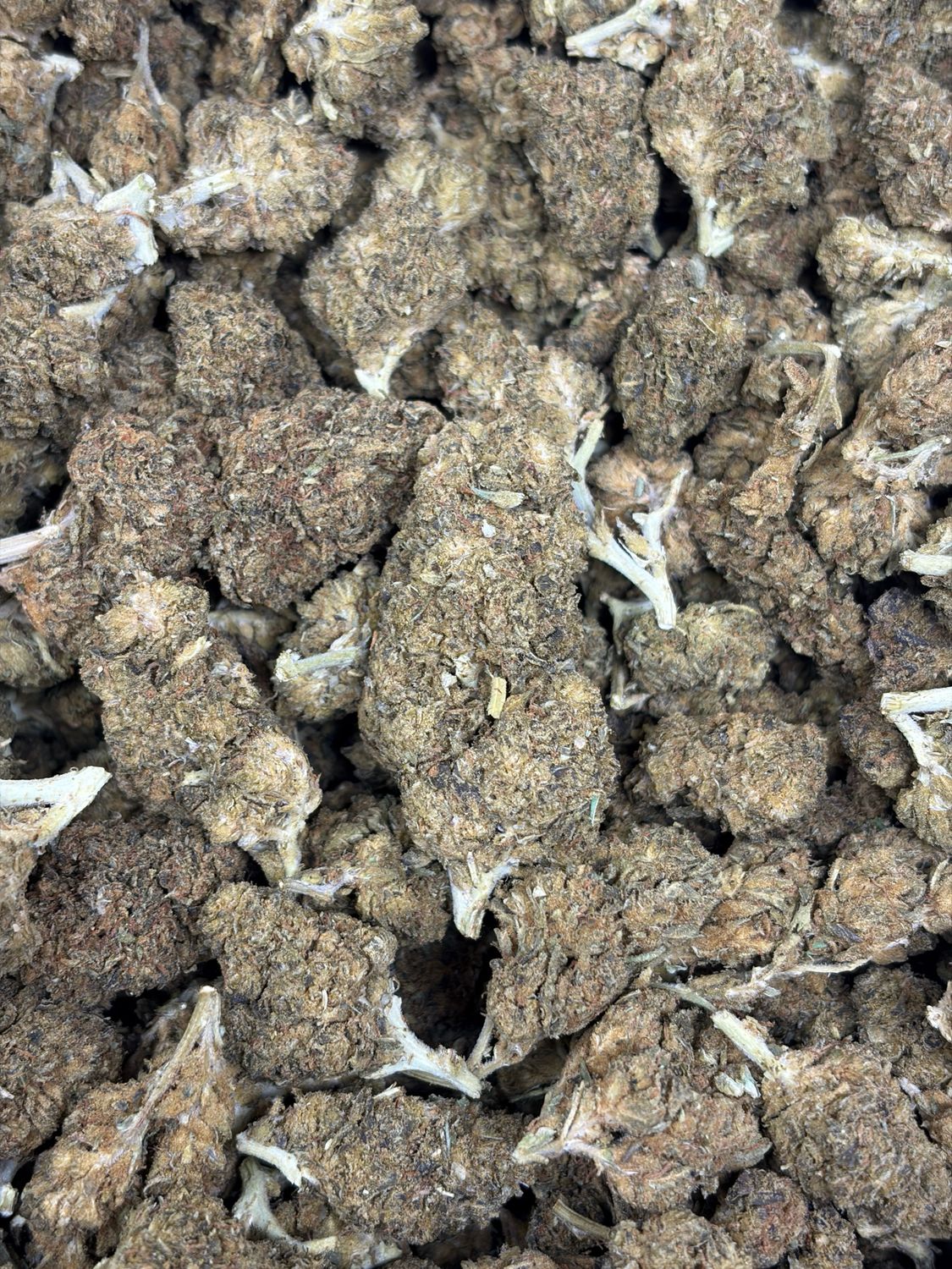 Kushberry