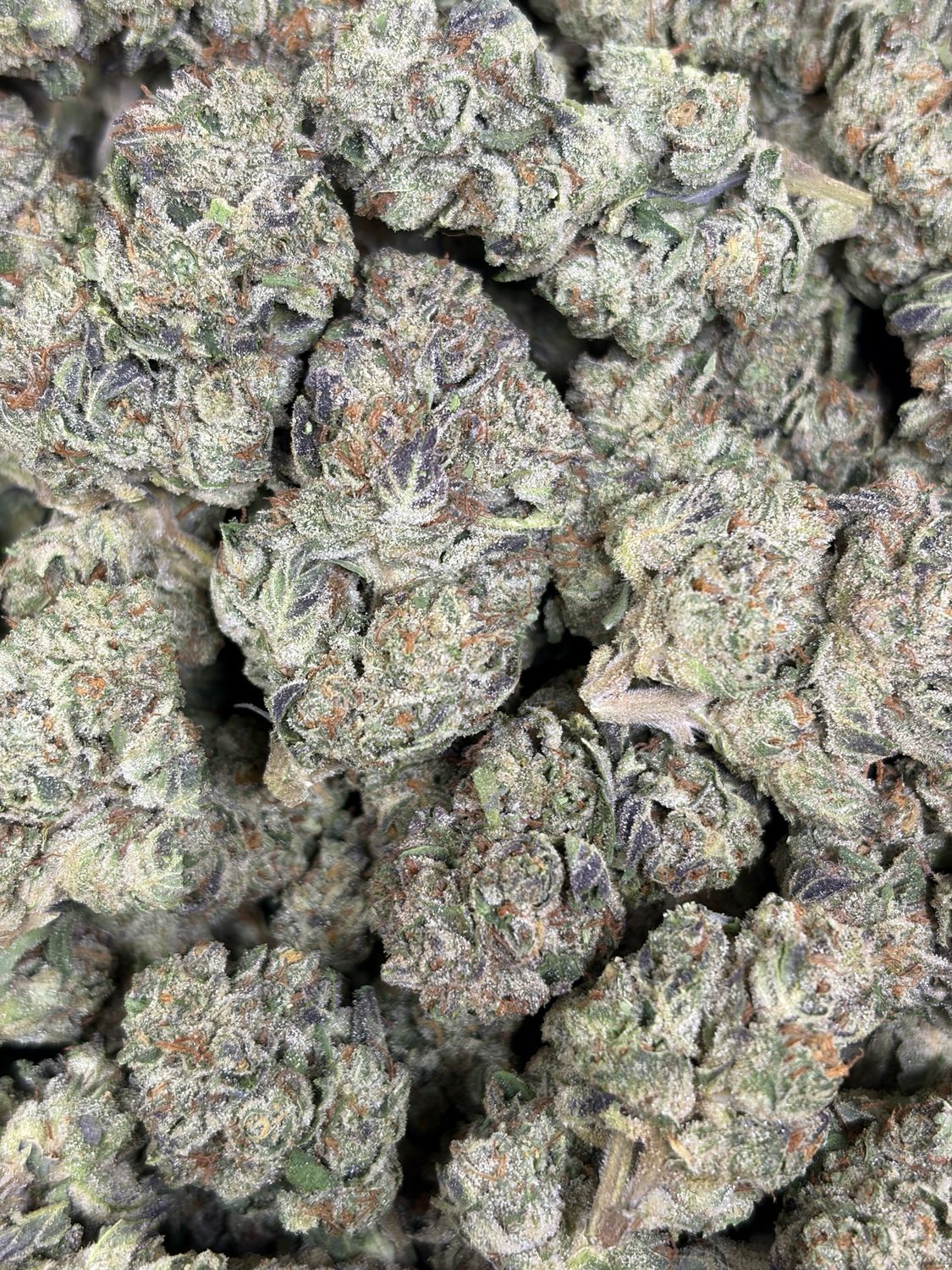 Garlic Cookies