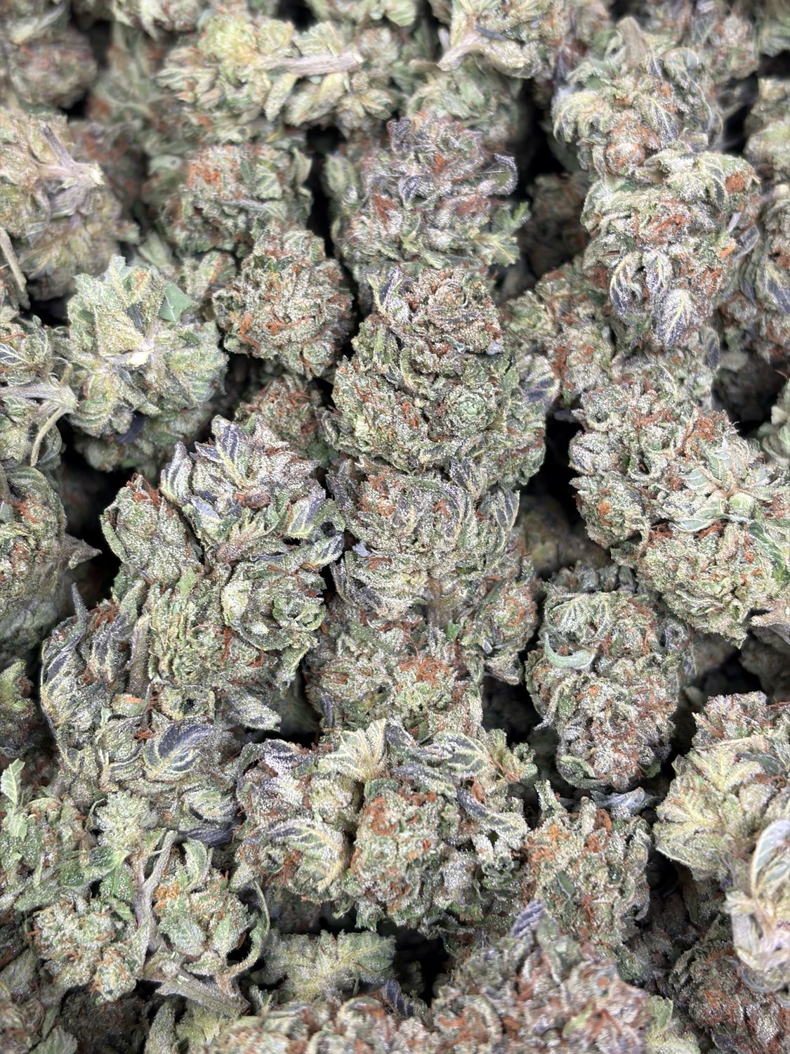 Garlic Cookies
