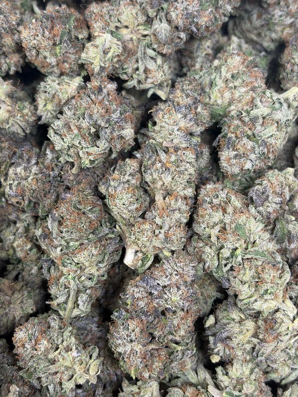 Black Ice