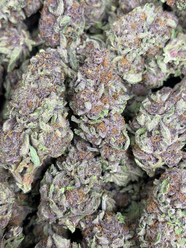 Tropicana Cookies