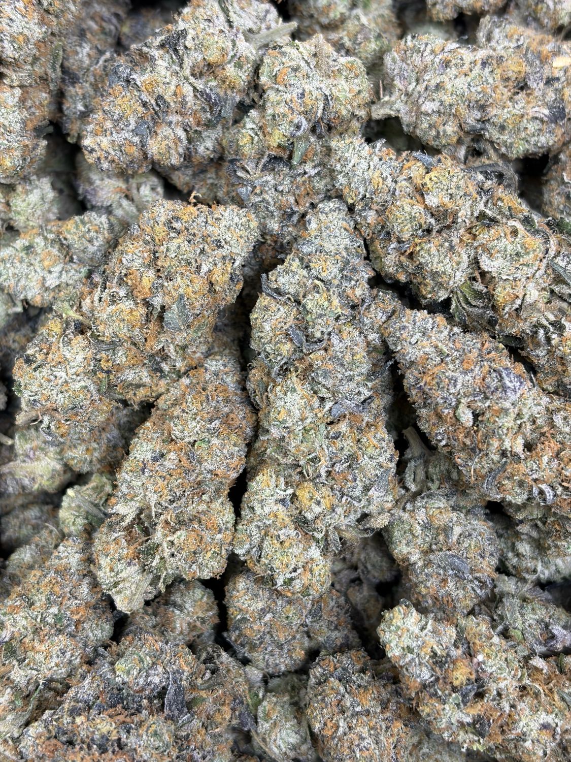 Blue Cookies