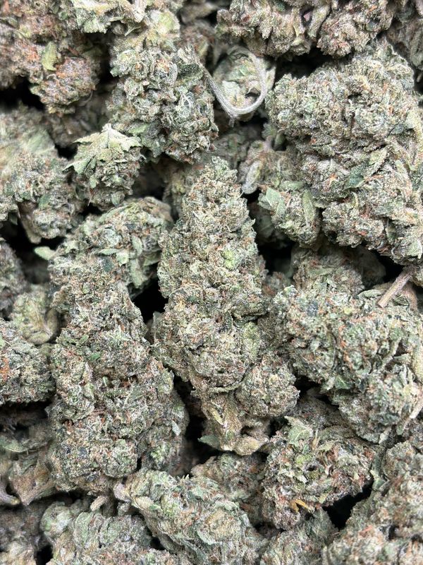 Stardawg
