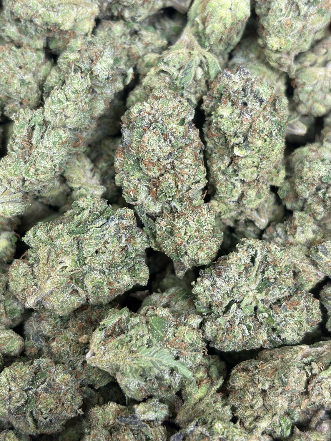 Alien Og