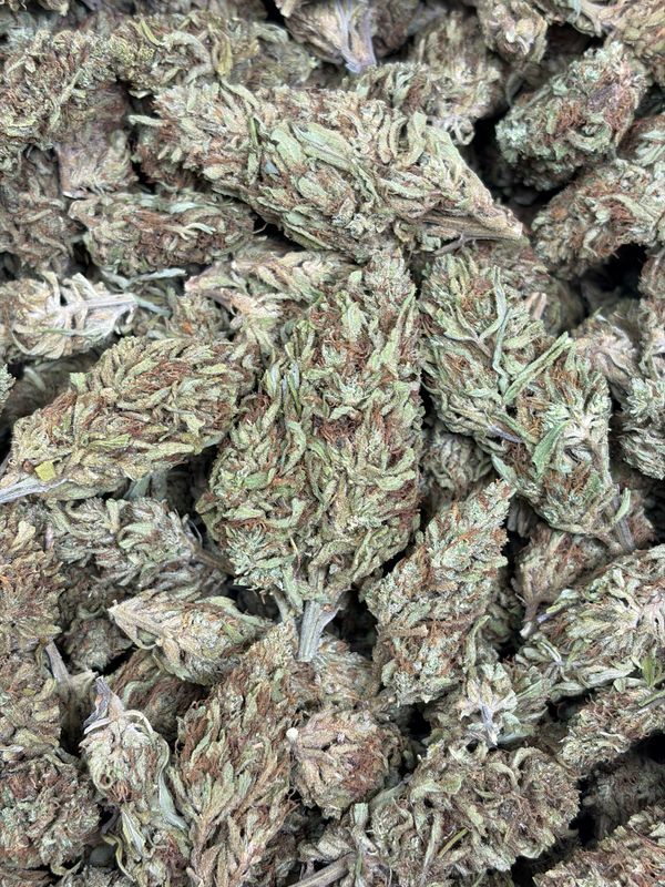 Jack the Ripper
