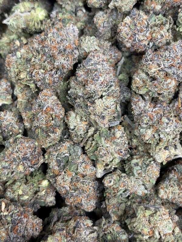 Gelato 45