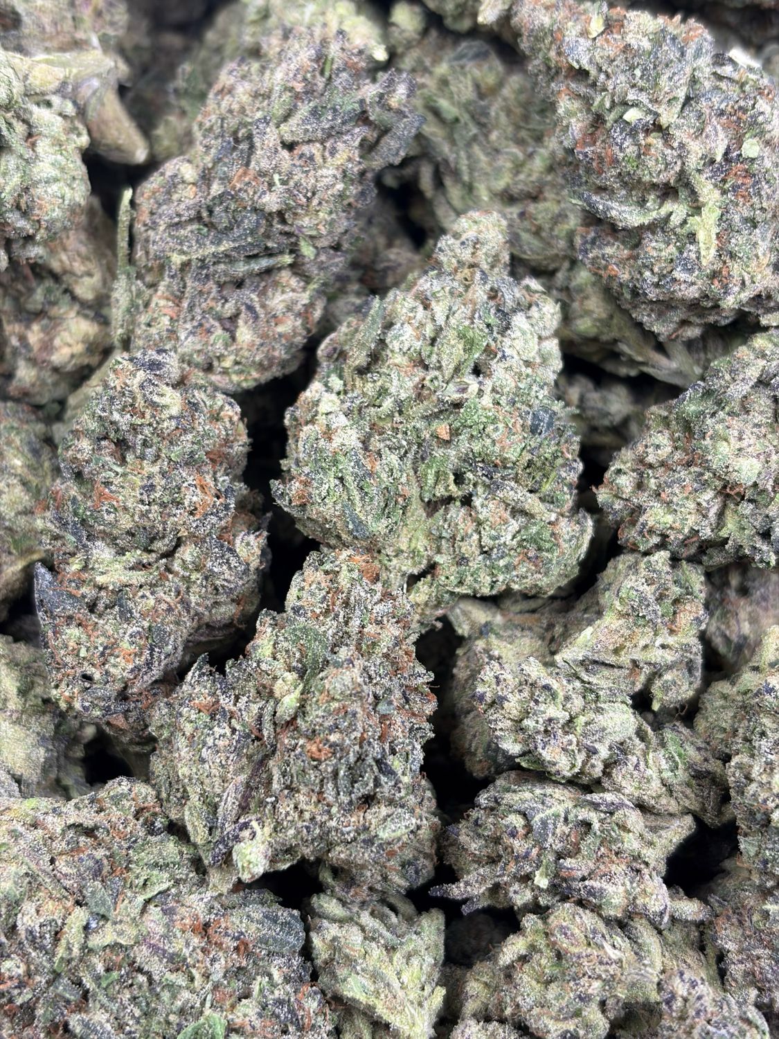 Monster Cookies