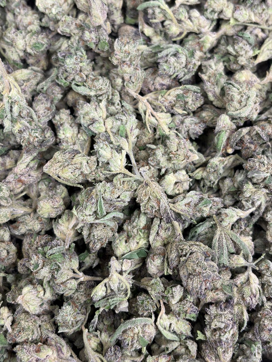 Green House Smalls