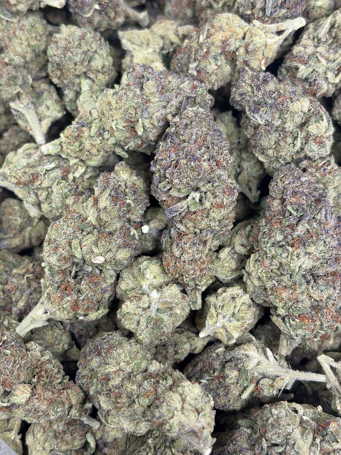 Dragon Fruit
