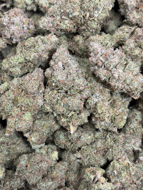 Lambs Breath