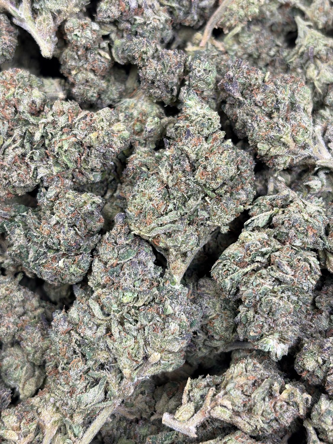 Blueberry Caviar
