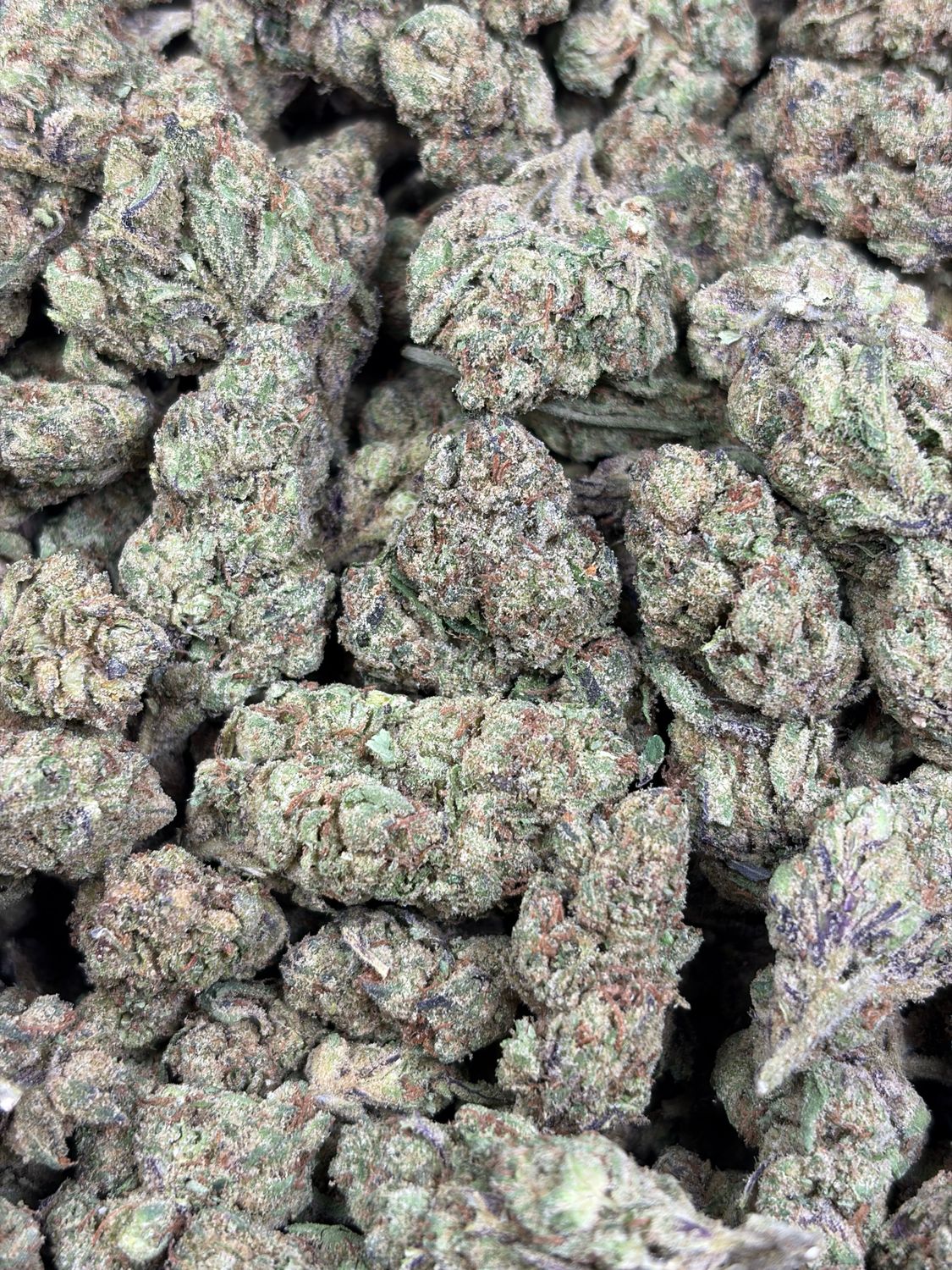 Kamakazi Candy