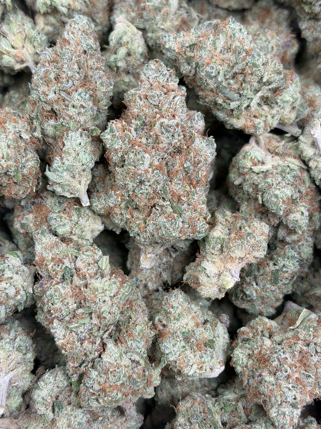 Pineapple Ak