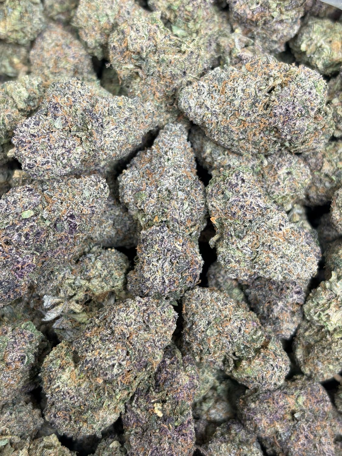 Gelato 25
