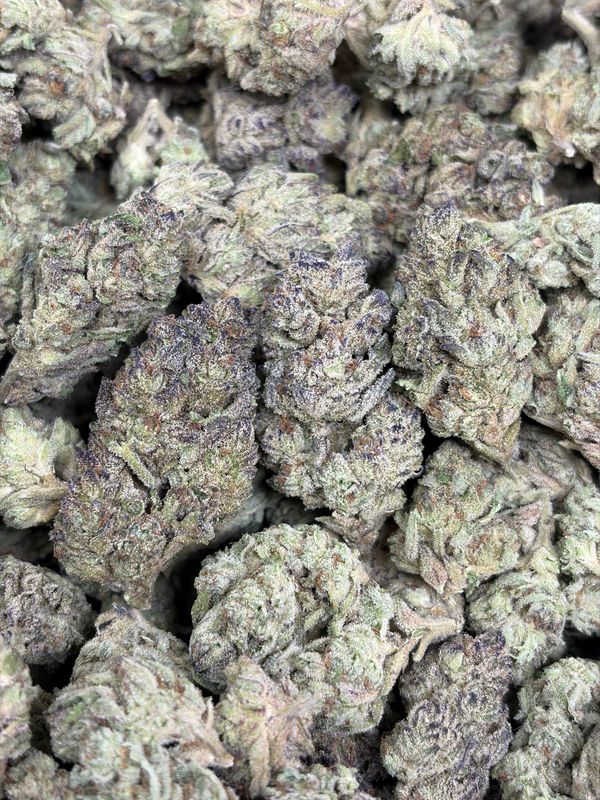 Monster Glue