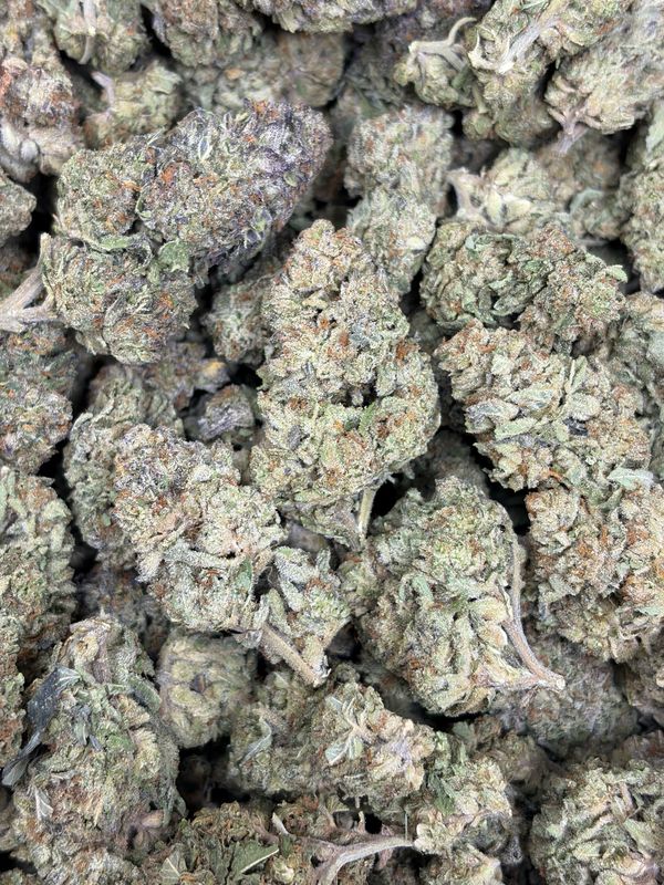 Santa Cruz Og
