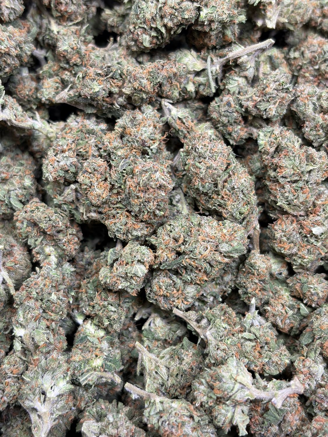 Master kush