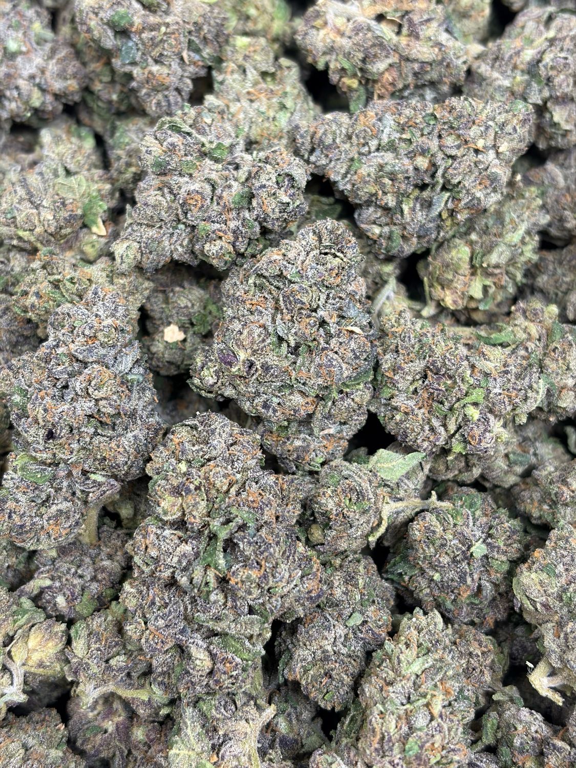 Mother Of Berries