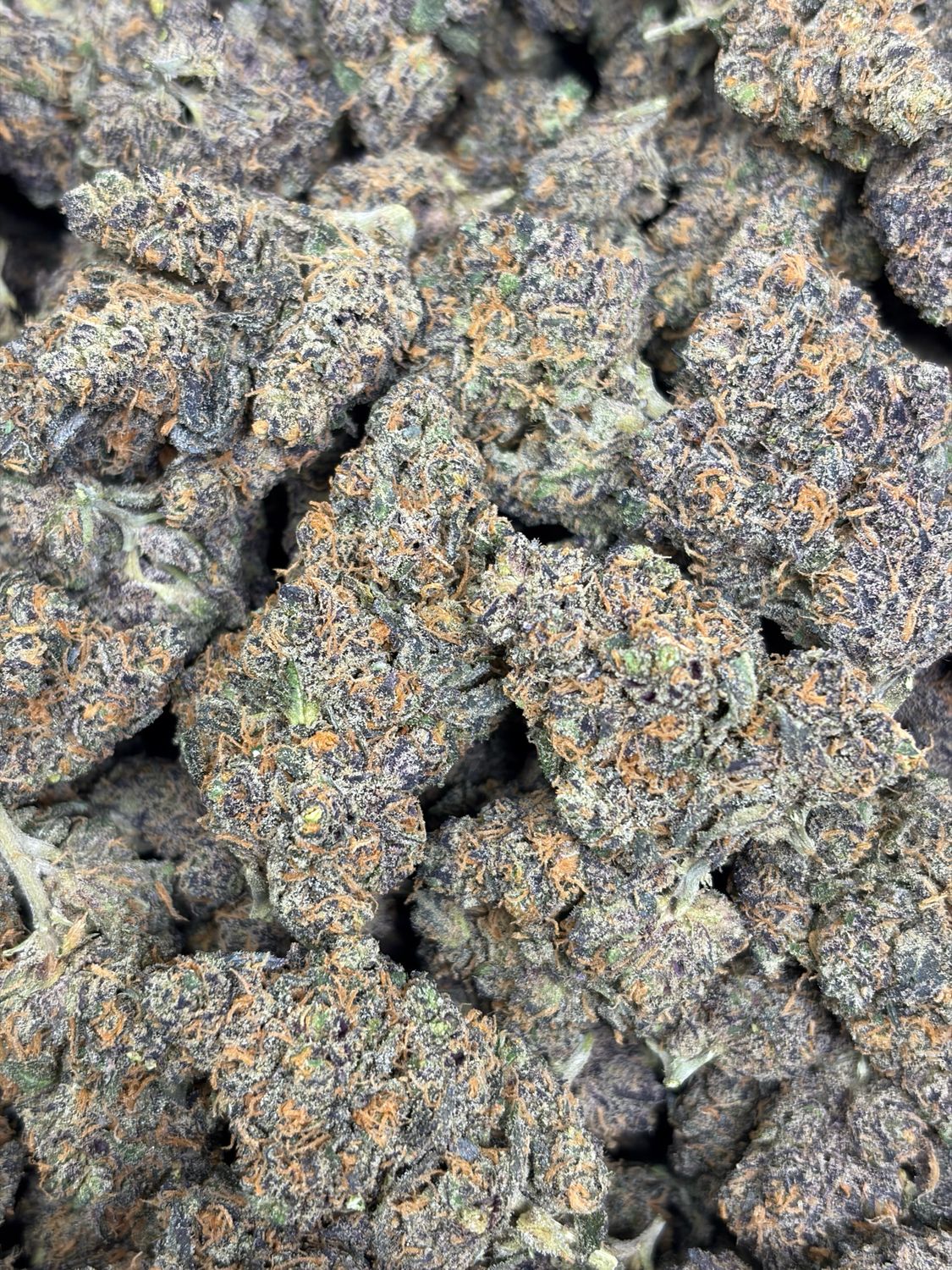 Sherbert