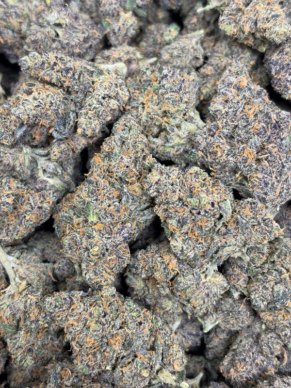 Sherbert