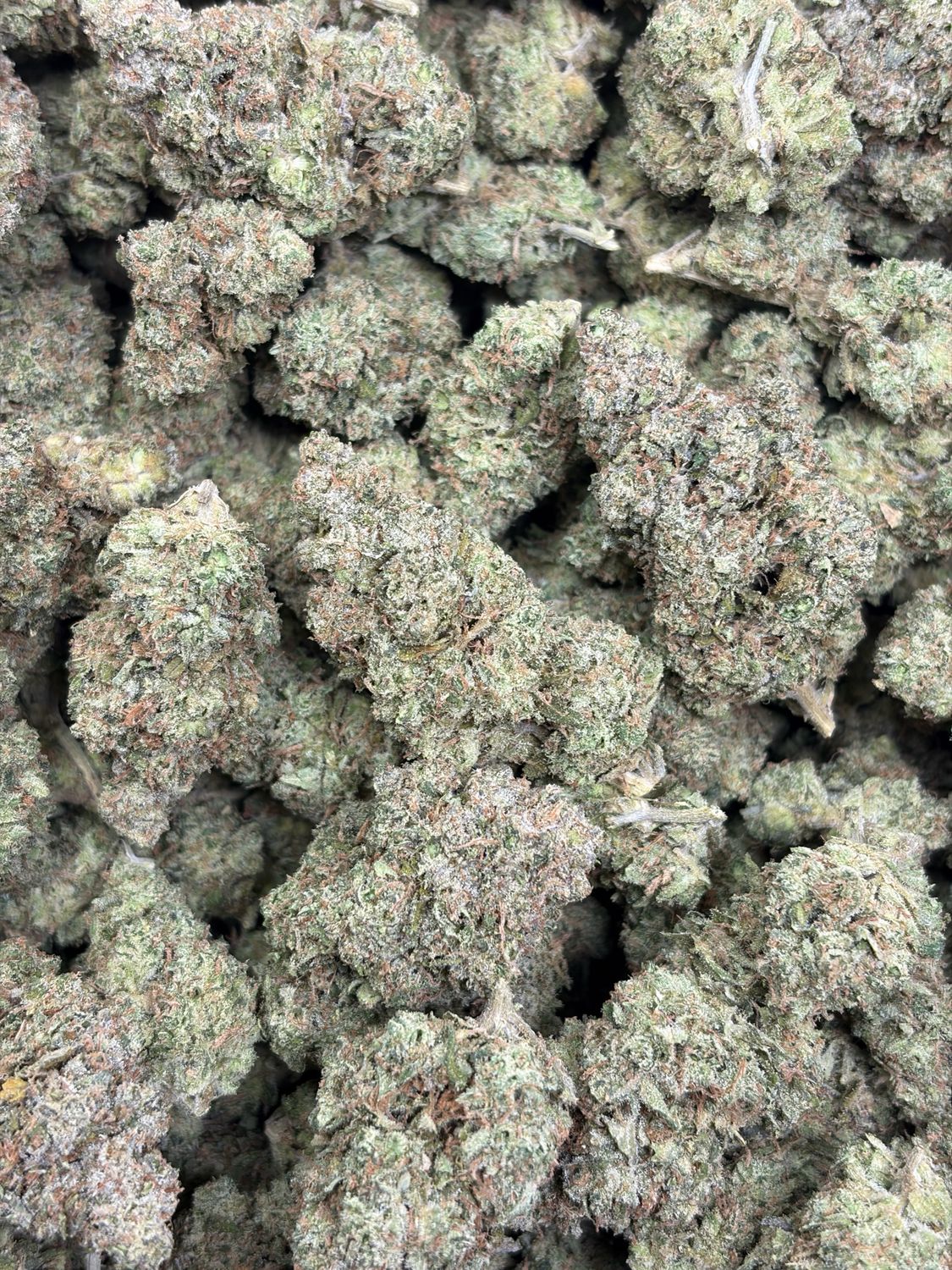 Sweet Tooth