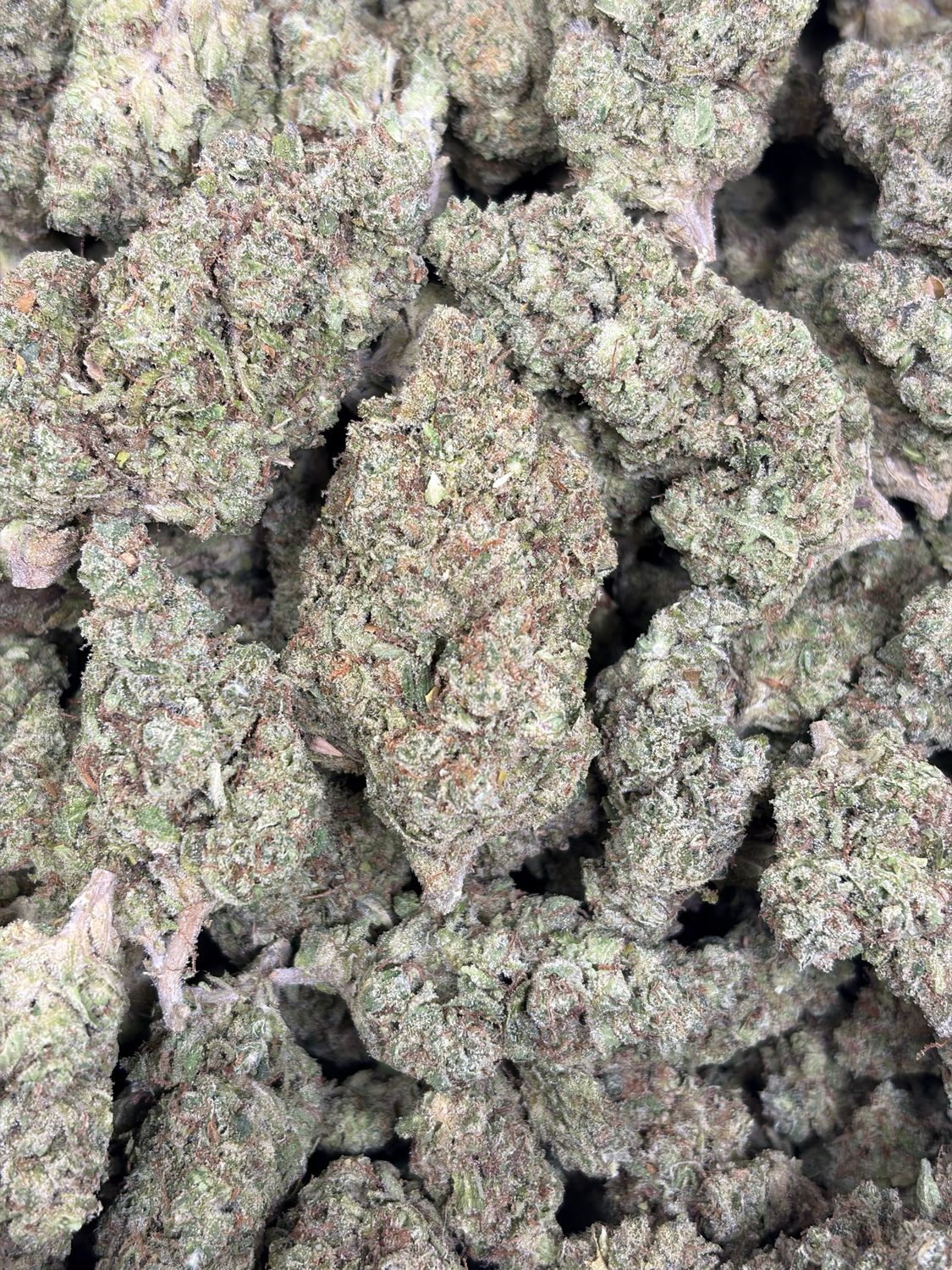 Cranberry Gelato