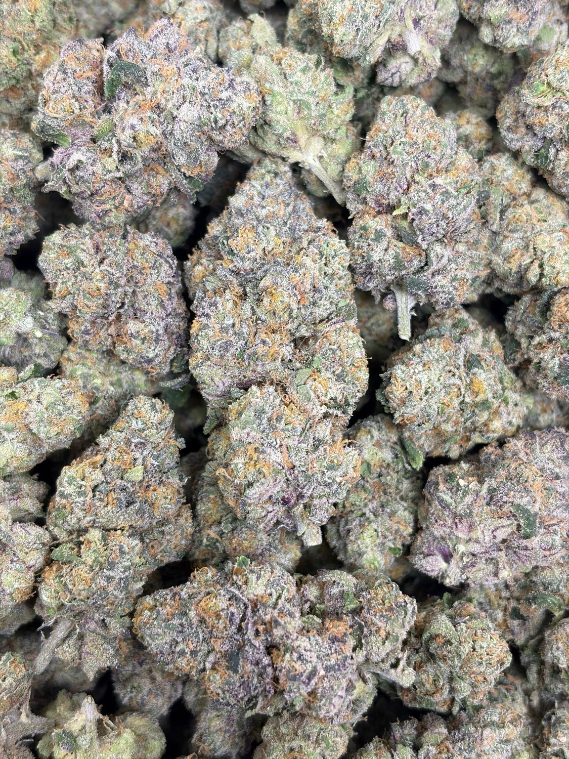 Blue Taffeze