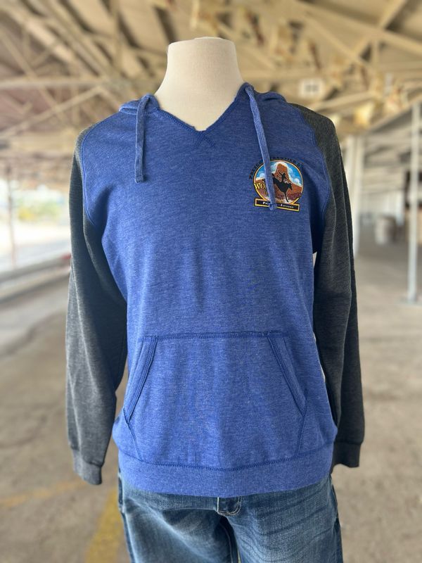 Mens Blue Hoodie