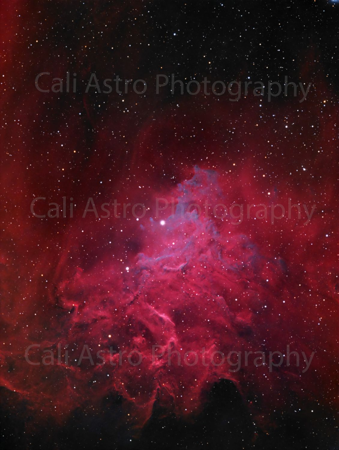 Print Of Flaming Star Nebula Photo