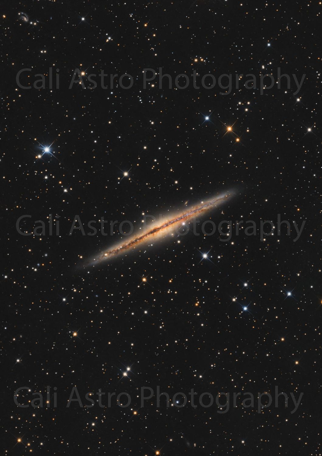 Print Of NGC891 Galaxy Photo