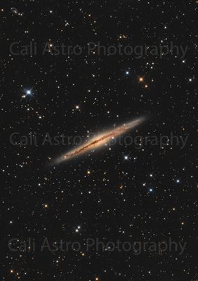 Print Of NGC891 Galaxy Photo